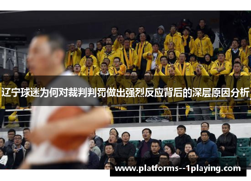 辽宁球迷为何对裁判判罚做出强烈反应背后的深层原因分析 辽宁球迷为何对裁判判罚做出强烈反应背后的深层原因分析