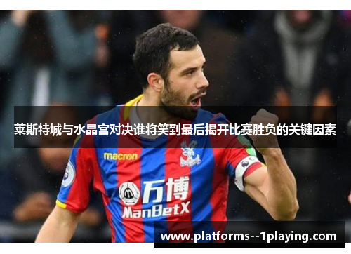 莱斯特城与水晶宫对决谁将笑到最后揭开比赛胜负的关键因素 莱斯特城与水晶宫对决谁将笑到最后揭开比赛胜负的关键因素