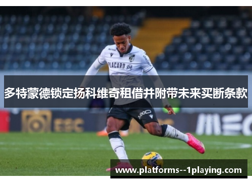 多特蒙德锁定扬科维奇租借并附带未来买断条款 多特蒙德锁定扬科维奇租借并附带未来买断条款