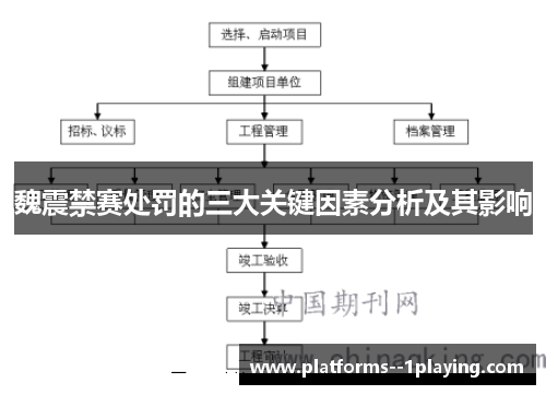 魏震禁赛处罚的三大关键因素分析及其影响